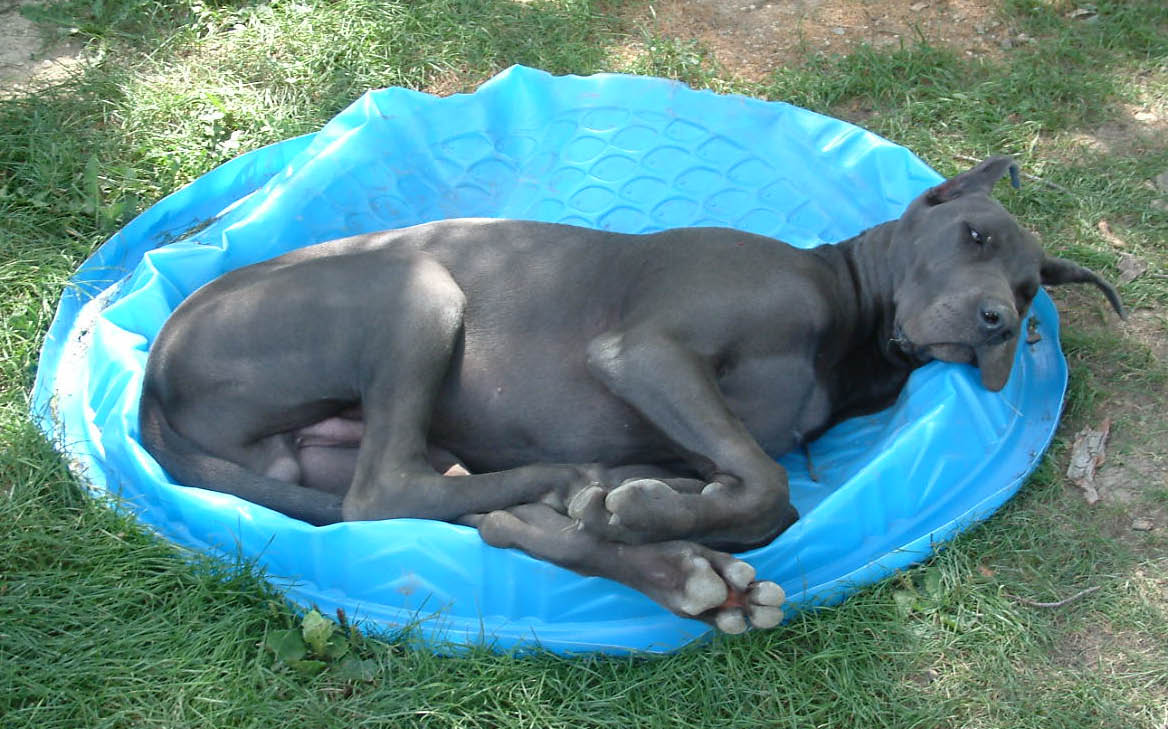 loungin' in the pool