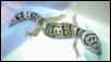 Normal phase Leopard Gecko