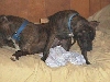 Butch & Karma 12/14/05