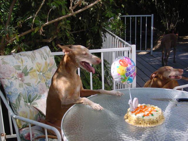 Flash 10th Birthday