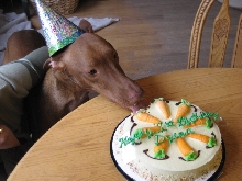 Dylan & His Birthday Cake
