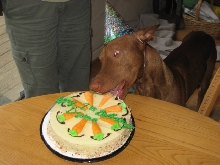 Happy Birthday Dylan