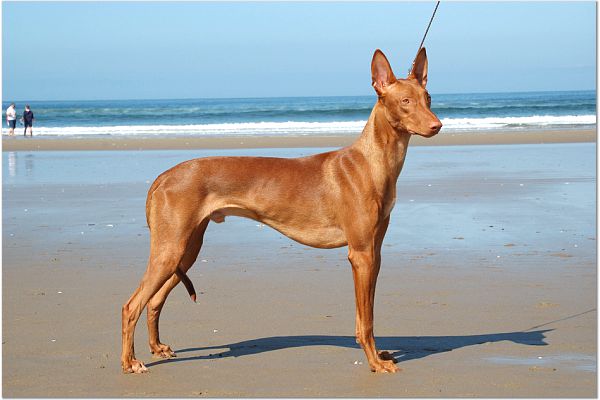 Wyatt on the beach