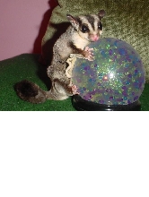 Giz Globe