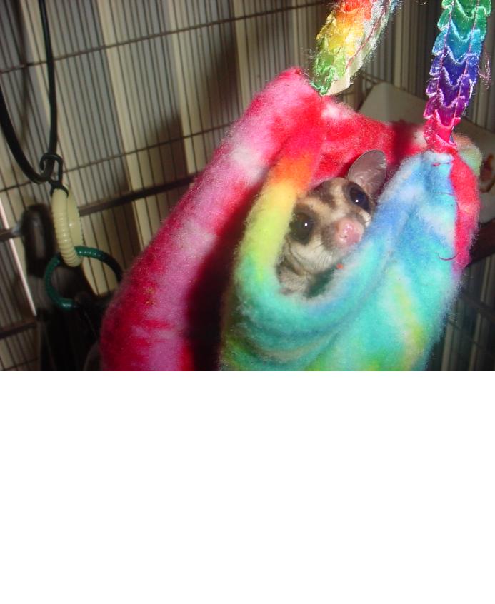 Glider Pouch