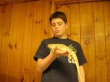 me with my beardie