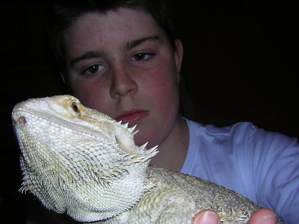 beardie upclose