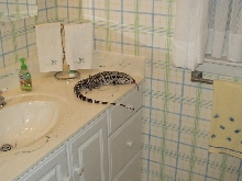 tegu in bathroom