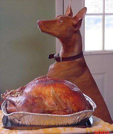TURKEY BOY!