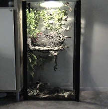 FullTankShot