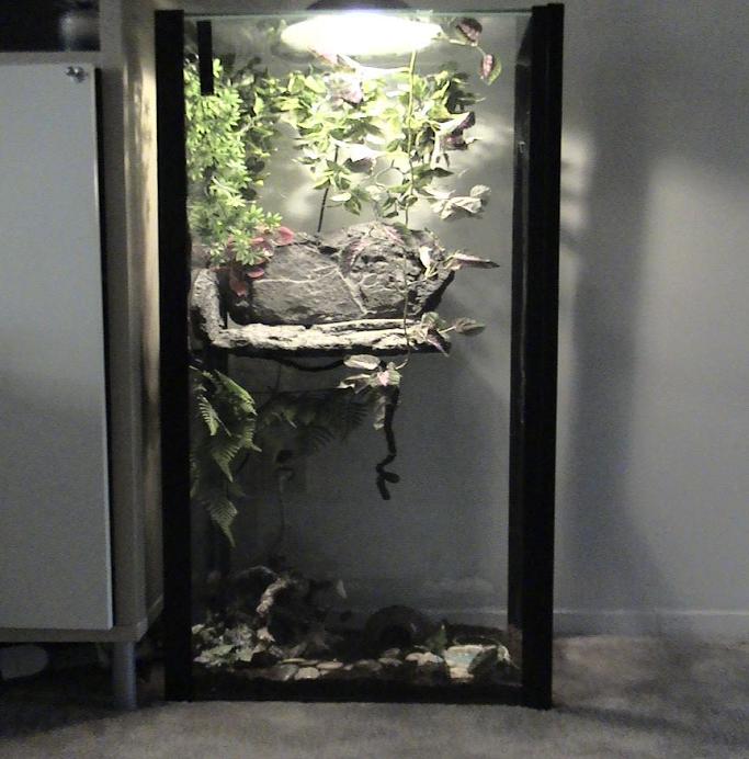FullTankShot