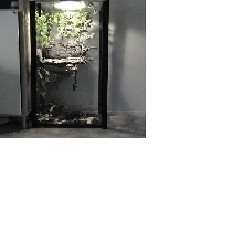 55 Gal Crested Tank