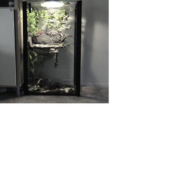 55 Gal Crested Tank