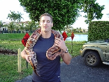 me and guinness