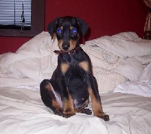 Kol around 2 months