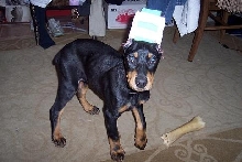 kol at 12 weeks