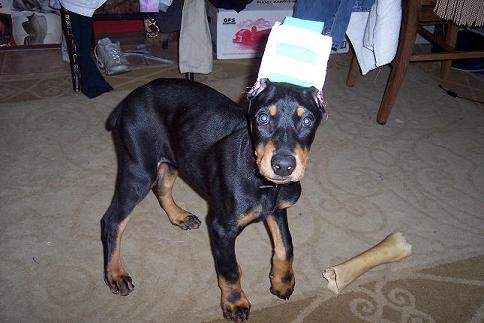kol at 12 weeks
