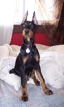 kol at 4 months