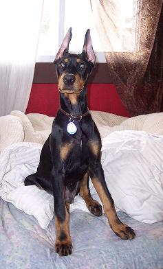 kol at 4 months