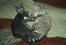 CAUGHT IN THE ACT!