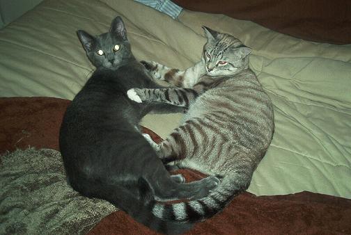 CAUGHT IN THE ACT!