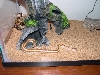 spike2