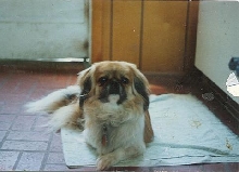 Jenny