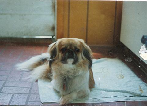 Jenny