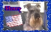 Henry frame