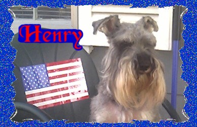 Henry frame