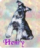 Henry wave