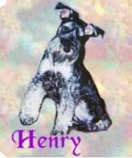 Henry wave