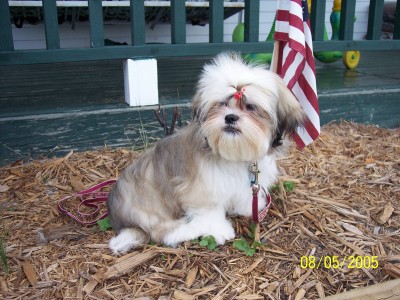 Sagwa 5 months old