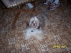 Sagwa 6 months