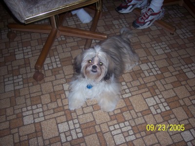 Sagwa 6 months
