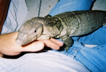 my buddy