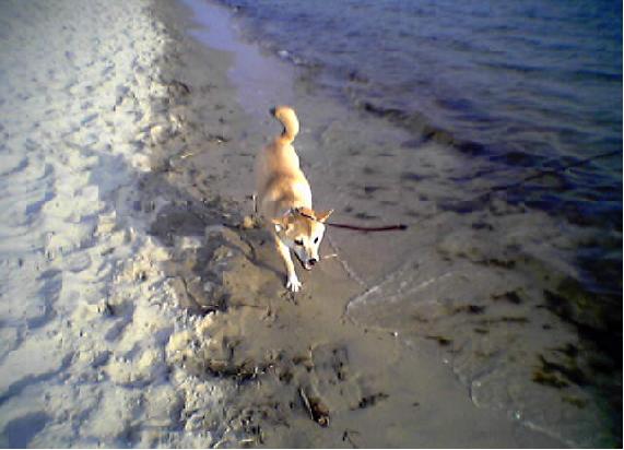 Along the Water