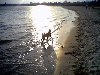 Kita at beach