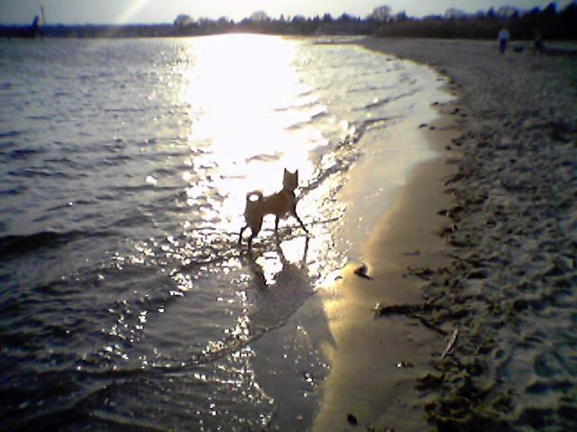 Kita at beach