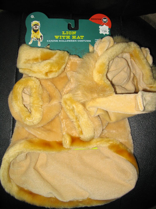 Lion Costume