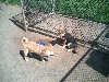 Kita and Kenji