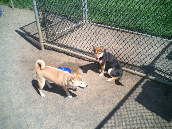 Kita and Kenji