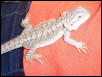 Kiro's first day