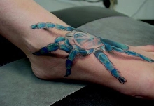 haplopelma lividum tattoo by yours truely