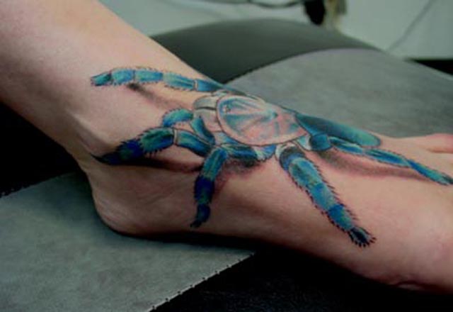 haplopelma lividum tattoo by yours truely