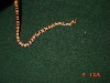 thayeri8