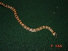 thayeri9