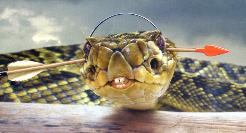 snakes and arrows