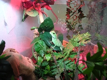 in its home