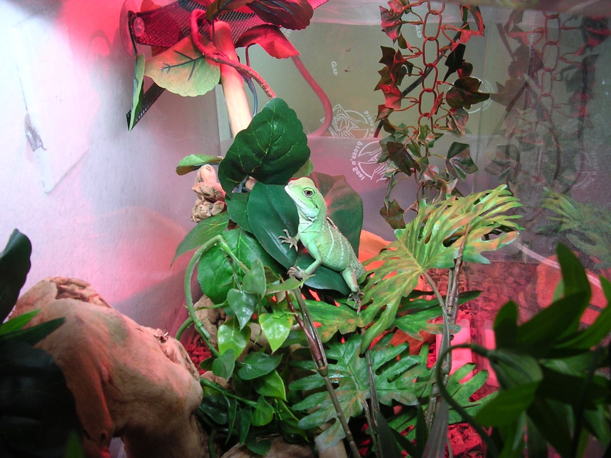 in its home